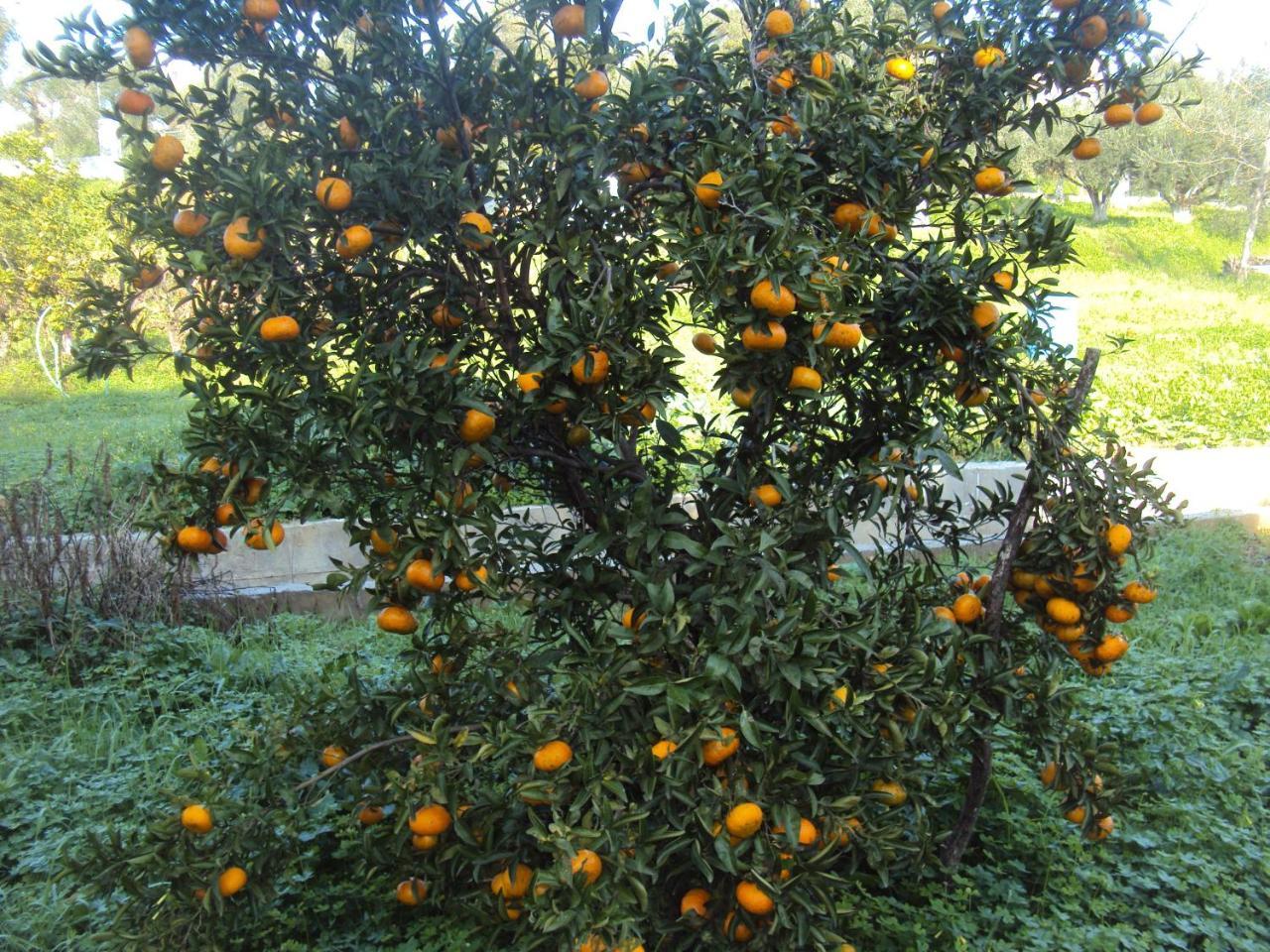 Villa Nostos Koroni  Luaran gambar
